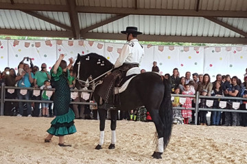 Feriabailecaballo01
